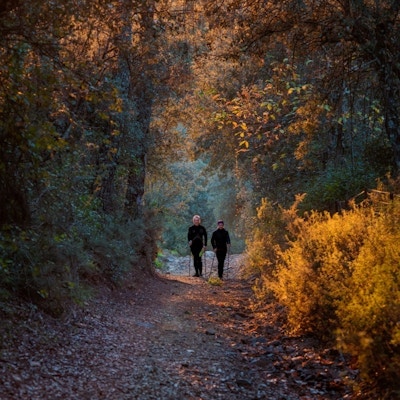Tursti i skog der to mennesker går med høstfarger rundt seg
