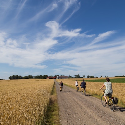 Ven, Sverige - 6. august 2015: En gruppe syklister på landsbygda på den svenske øya Ven.