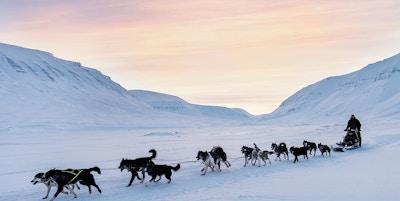 Hundespannstur på på Svalbard
