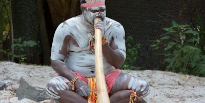 Portrett av en Yugambeh aboriginal mann spiller aboriginal musikk på didgeridoo, instrument under Aboriginal kultur show i Queensland, Australia.
