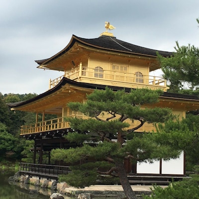 Kinkaku-ji i gull omgitt av vann