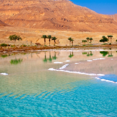 Dødehavets strand med palmer og fjell på bakgrunn
