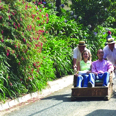 Kurvsleder har vært en tradisjonell form for transport på Madeira. To menn kontrollerer fart og retning