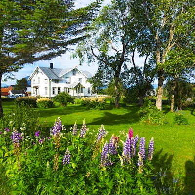 Hvitt, gammelt gårdshus står i en frodig hage med blomster og gamle trær