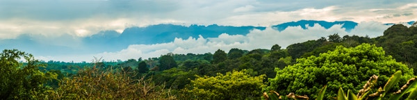 Rwenzori-fjellene