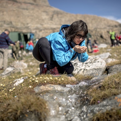En kvinne som utforsker naturen på Grønland sammen med en stor turistgruppe.