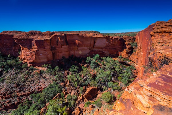 Australia outback-landskap med blå himmel.