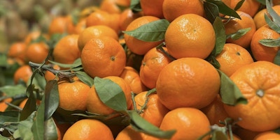 Mange oransje appelsiner med grønt blad på mange av dem