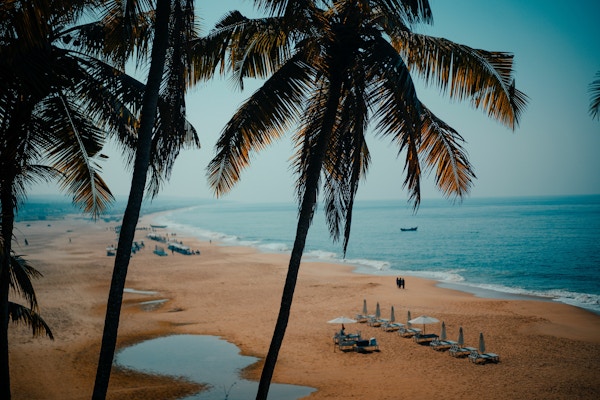 Strand, palmer, sjø og noen få solstoler