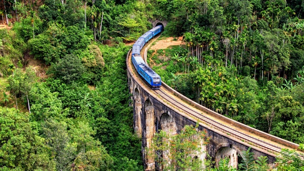 En bro som går over frodig skog med et tog som er i ferd med å kjøre over