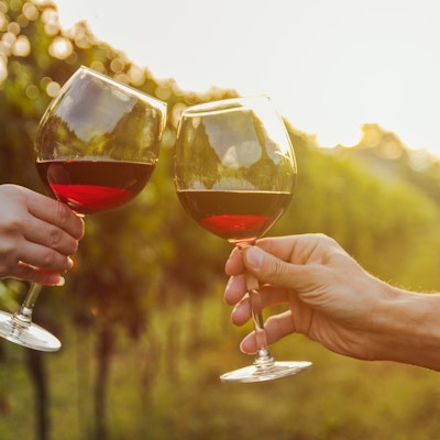To personer skåler i rødvin uten i vinmark.