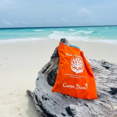 Et oransje handlenett med Carpe Diem - logo ligger på et stykke drivved på stranden