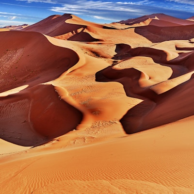 ørkenen av namib med oransje sanddyner.