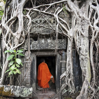 Munk i Angkor Wat Kambodsja. Ta Prohm Khmer eldgamle buddhisttempel i jungelskogen. Berømt landemerke, tilbedelsessted og populært turistmål i Asia.