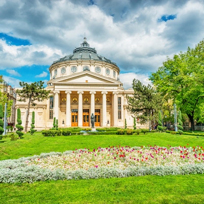 Romanian Athenaeum er Bucurestis mest prestisjefylte konserthus og en av de vakreste bygningene i byen. Vakre grønne trær og blomster i parken foran bygningen. Bucarest, Romania