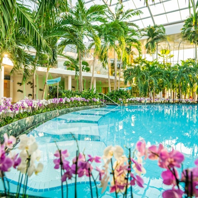 Spaanlegg med basseng og palmer og blomster rundt et basseng
