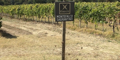 Vinranker og jorder med et skilt som viser at dette er vingården Le Cimate i Montefalco, Umbria