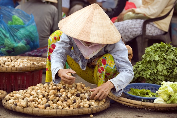 vietnamesisk kvinne marked leverandør