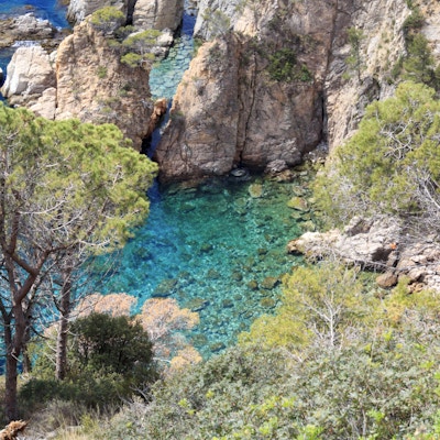 Typisk Costa Brava-landskap nær Tossa de Mar i Spania