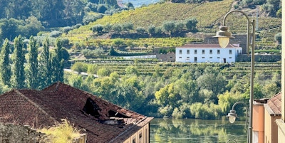 Utsikt fra den lille byen Régua over vinlandskapet