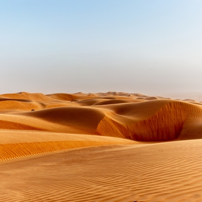 Sanddynene i Wahiba Sands-ørkenen i Oman ved solnedgang under en typisk sommersandstorm - 20