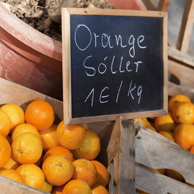 byen Soller står i det som er kjent som “Golden Valley” nordvest på Mallorca, et område rikt på appelsin- og sitronlunder. Å kjøpe appelsiner eller sitroner blir nesten gitt bort. 1 Euro vil kjøpe et kilo nyplukkede saftige appelsiner.