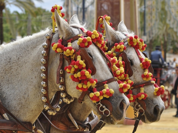 Hester tildekket på en messe, Jerez de la Frontera