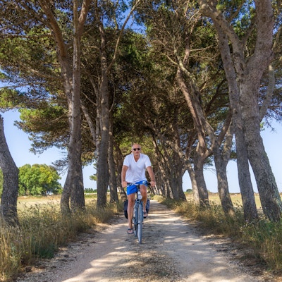En mann sykler på traktorvei blant trær og åkre i Puglia