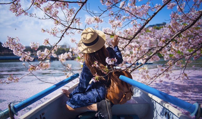 Asiatisk kvinne liker å reise i Japan i løpet av vårsesongen.