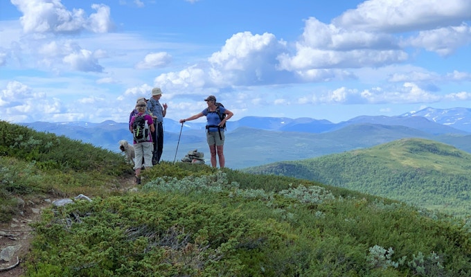 Fire personer står på en sti i fjellet, peker og snakker med vakre, sommergrønne fjell i bakgrunnen