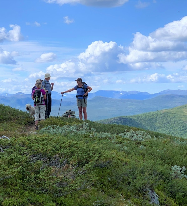 Fire personer står på en sti i fjellet, peker og snakker med vakre, sommergrønne fjell i bakgrunnen