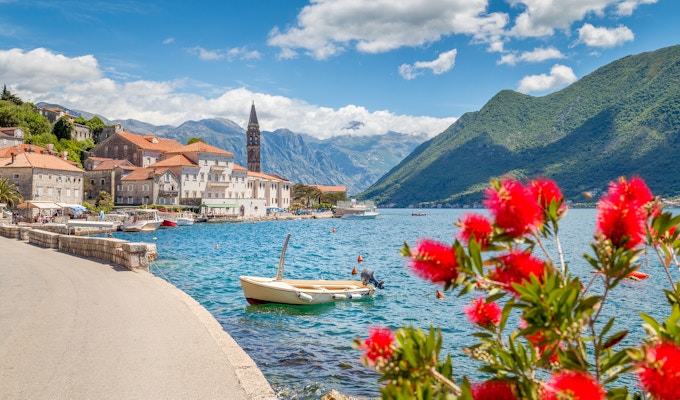 Naturskjønn panoramautsikt over den historiske byen Perast ved den berømte Kotor-bukten med blomstrende blomster på en vakker solrik dag med blå himmel og skyer om sommeren, Montenegro, Sør-Europa