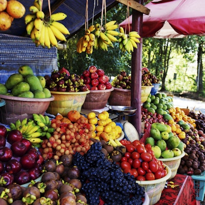 Hauger med frisk frukt: banan, eple, mandarin, mangostan, pasjonsfrukt, røde druer, mango og tomat.