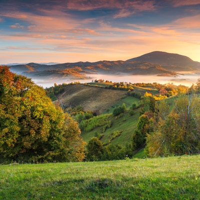 Fantastisk høstnatur med tåkete landskap, Holbav-landsbyen, Karpater, Transylvania, Romania, Europa