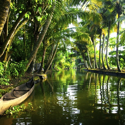 Koslig og harmonisk liten kanal med palmer