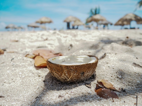 En halv kokosnøtt ligger i sanden på stranden blant løv med blå himmel og parasoller i bakgrunnen