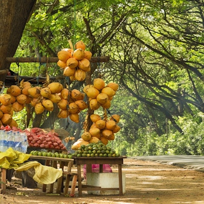 Sri Lankas fruktleverandør bod på vei fra Negombo til Kandy.