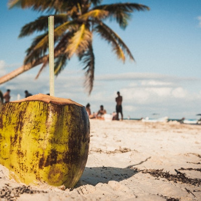Kokosnøtt med to sugerør og en palme på stranden ved Playa Paraiso, Tulum, Quintana Roo, Mexico.