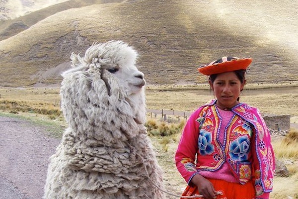 Jente i tradisjonelle, fargrike klær med en lama i bånd.